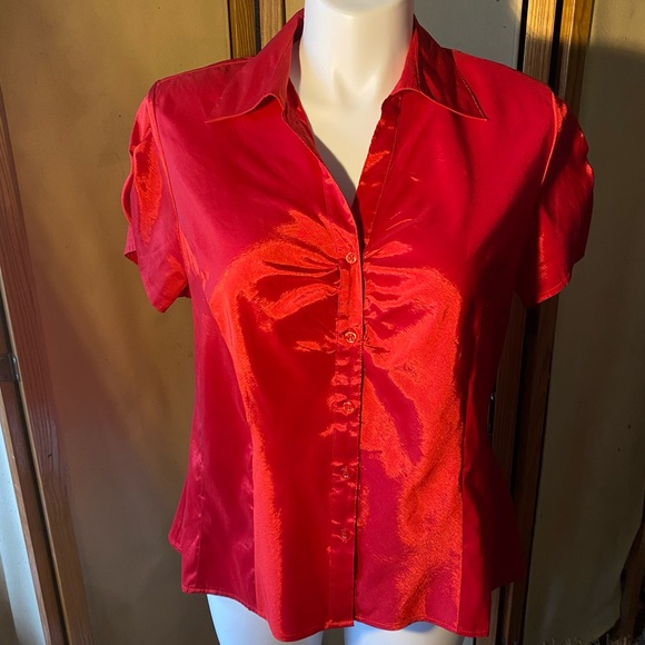 Cato Tops - EUC 🌟🔥✨Cato Woman shiny festive blouse, 14/16W